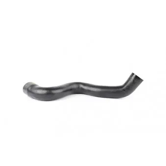 Gaine de suralimentation BSG BSG 90-720-049