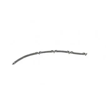 Tuyau, carburant de fuite BSG BSG 90-725-004
