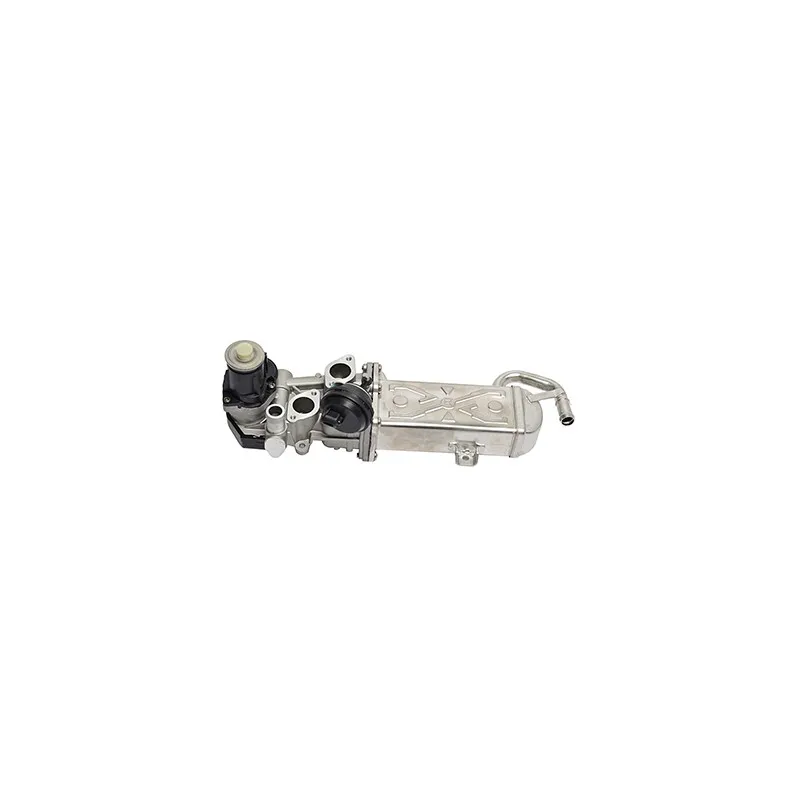 Module-EGR BSG BSG 90-836-011