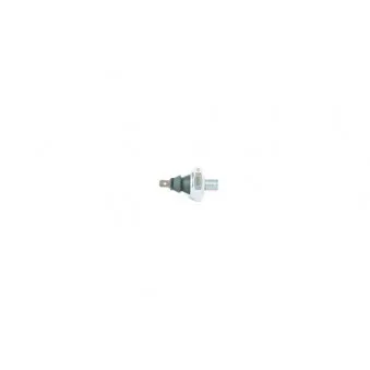 Indicateur de pression d'huile BSG BSG 90-840-039