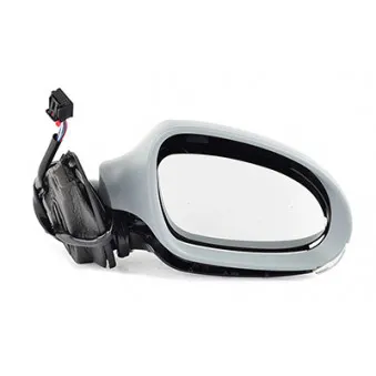 Rétroviseur extérieur BSG BSG 90-900-016