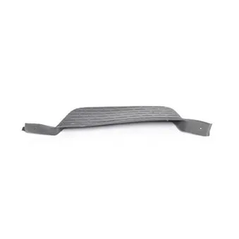 Marchepied BSG BSG 90-922-024