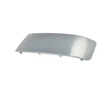 Baguette et bande protectrice, pare-chocs avant gauche BSG BSG 90-922-049
