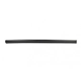 Baguette et bande protectrice, porte avant gauche BSG BSG 90-924-011