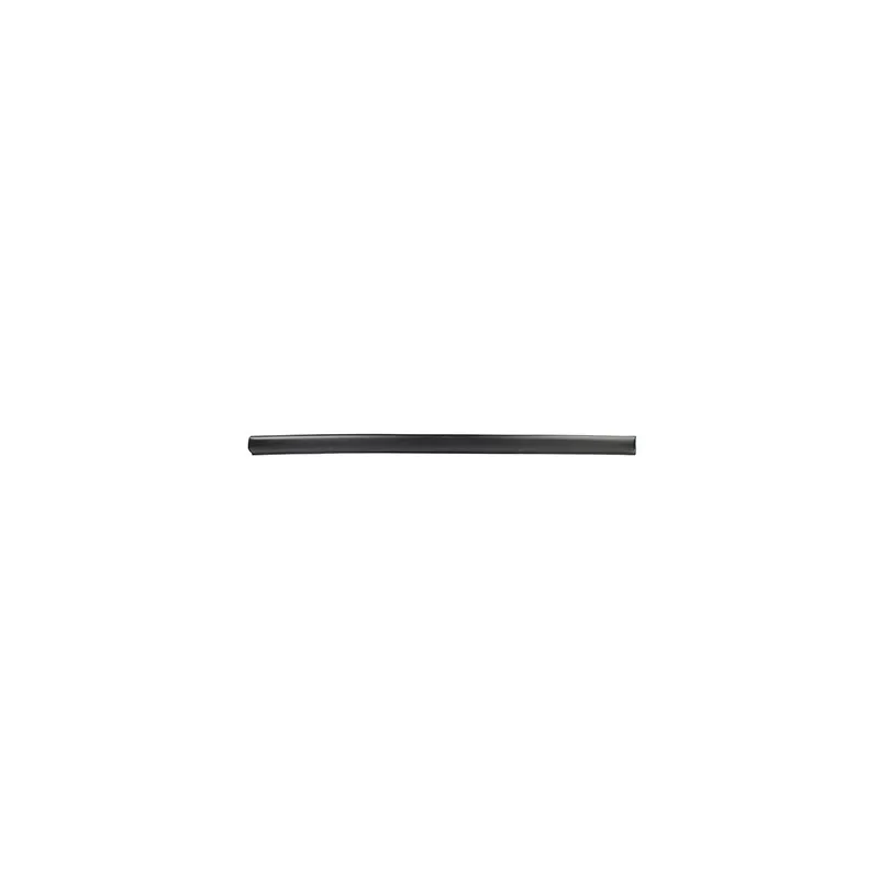 Baguette et bande protectrice, porte avant gauche BSG BSG 90-924-011