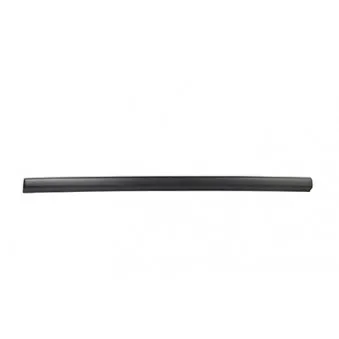 Baguette et bande protectrice, porte avant droit BSG BSG 90-924-012