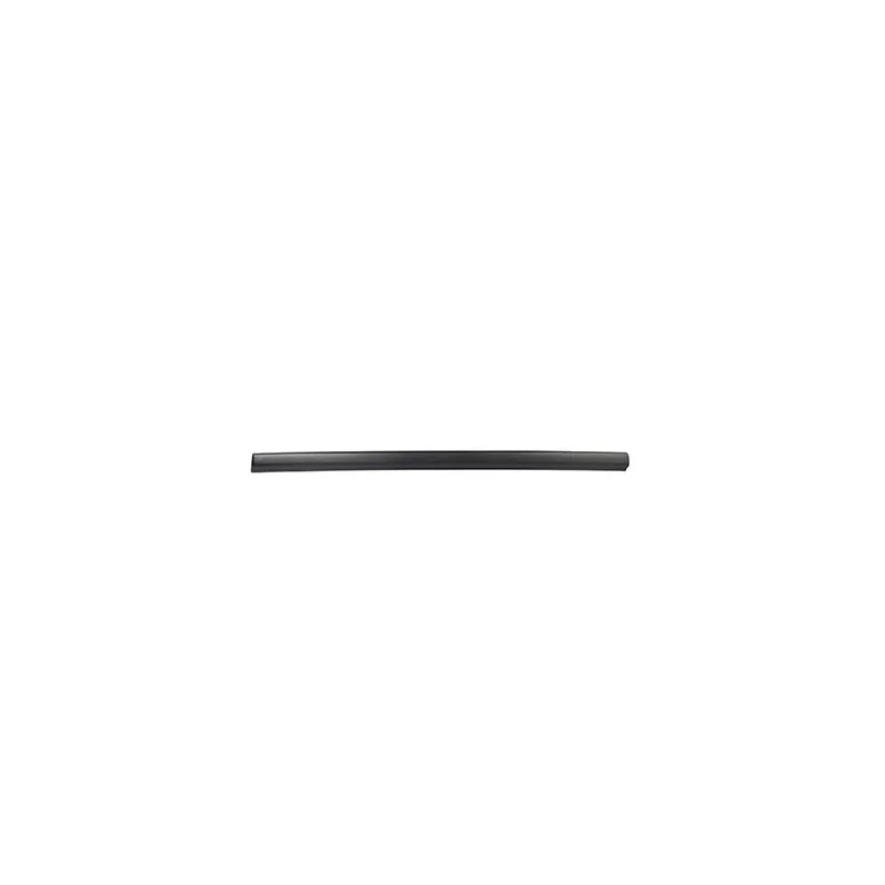 Baguette et bande protectrice, porte avant droit BSG BSG 90-924-012