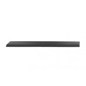 Baguette et bande protectrice, porte arrière gauche BSG BSG 90-924-015