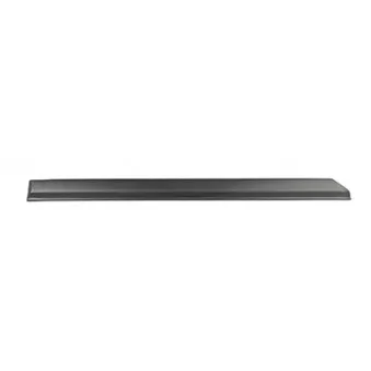 Baguette et bande protectrice, porte arrière droit BSG BSG 90-924-016