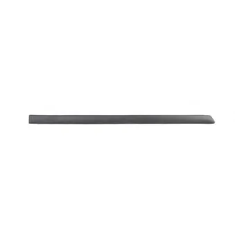 Baguette et bande protectrice, porte arrière droit BSG BSG 90-924-020