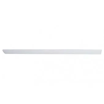Baguette et bande protectrice, porte arrière gauche BSG BSG 90-924-023