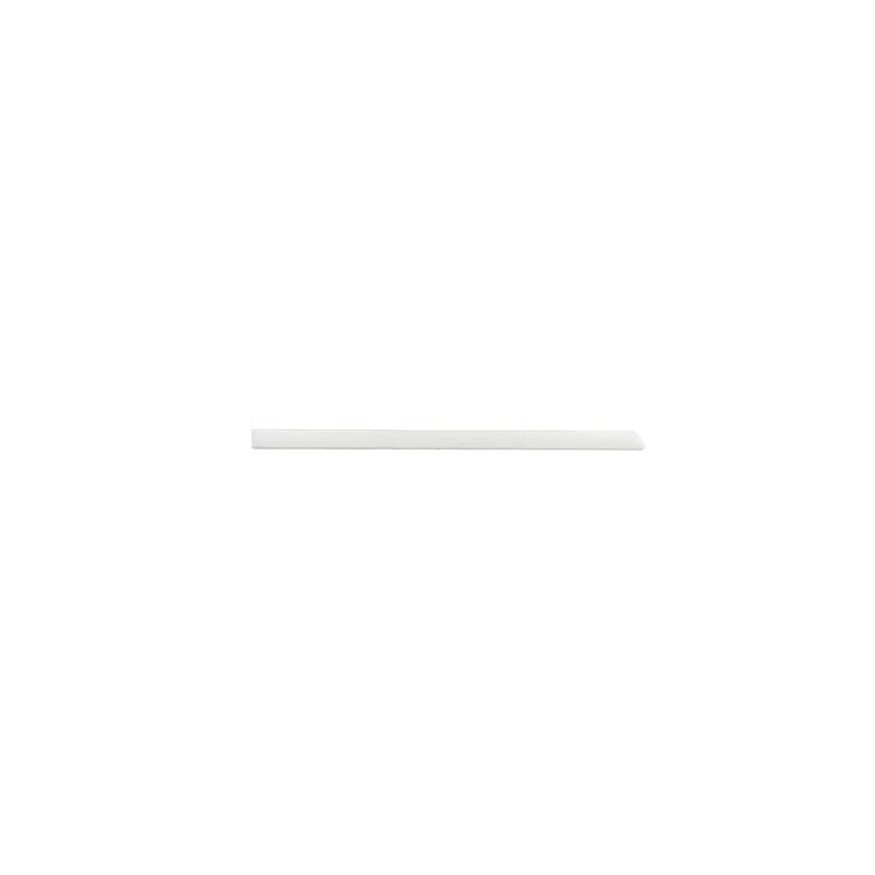 Baguette et bande protectrice, porte arrière droit BSG BSG 90-924-024