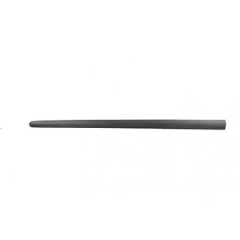 Baguette et bande protectrice, porte avant gauche BSG BSG 90-924-025