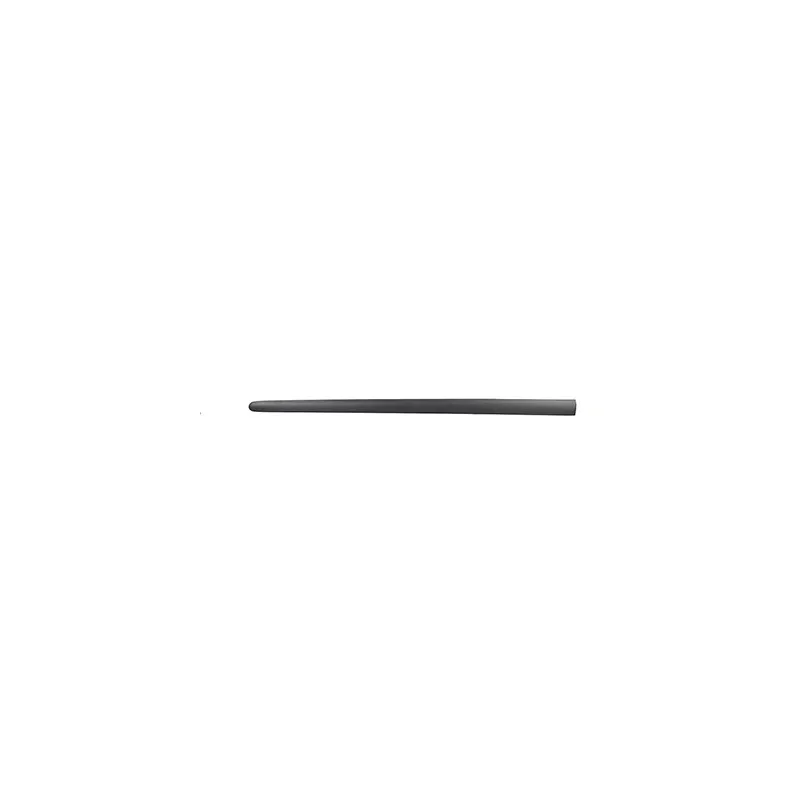 Baguette et bande protectrice, porte avant gauche BSG BSG 90-924-025