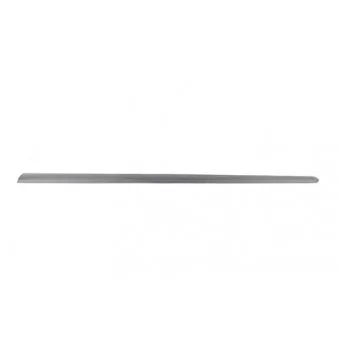 Baguette et bande protectrice, porte avant droit BSG BSG 90-924-026