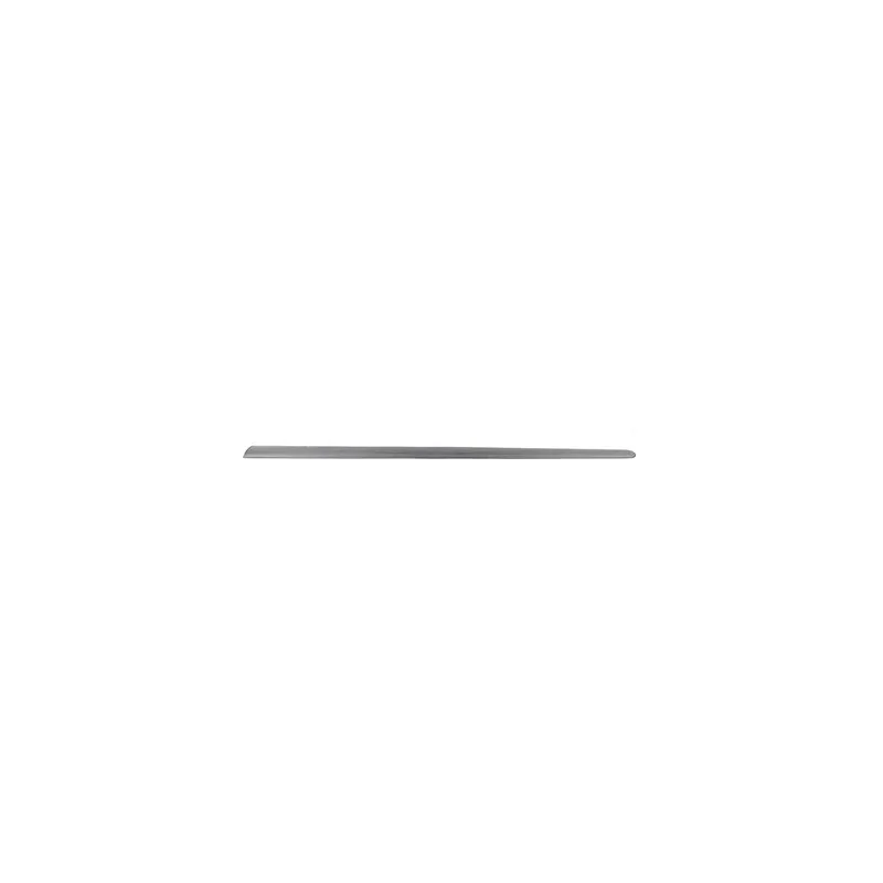 Baguette et bande protectrice, porte avant droit BSG BSG 90-924-026