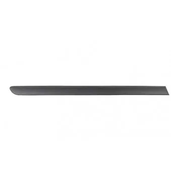Baguette et bande protectrice, porte arrière droit BSG BSG 90-924-028