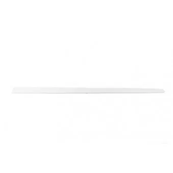 Baguette et bande protectrice, porte avant gauche BSG BSG 90-924-029