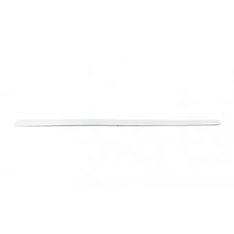 Baguette et bande protectrice, porte avant droit BSG BSG 90-924-030