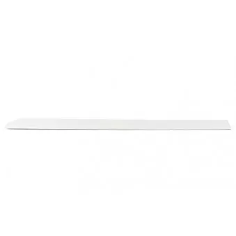 Baguette et bande protectrice, porte arrière gauche BSG BSG 90-924-031