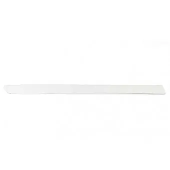 Baguette et bande protectrice, porte arrière droit BSG BSG 90-924-032