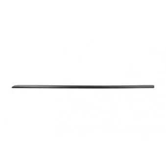 Baguette et bande protectrice, porte avant gauche BSG BSG 90-924-033