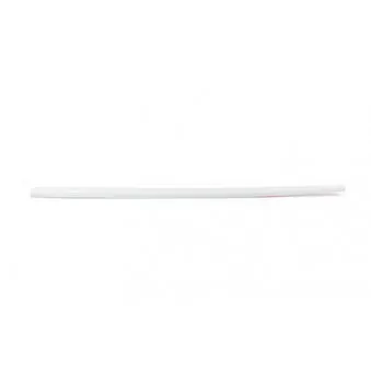 Baguette et bande protectrice, porte avant droit BSG BSG 90-924-038
