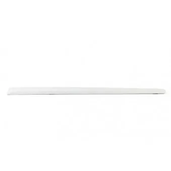 Baguette et bande protectrice, porte arrière gauche BSG BSG 90-924-039
