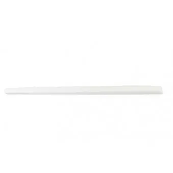 Baguette et bande protectrice, porte arrière droit BSG BSG 90-924-040