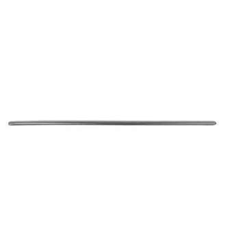 Baguette et bande protectrice, porte avant gauche BSG BSG 90-924-041