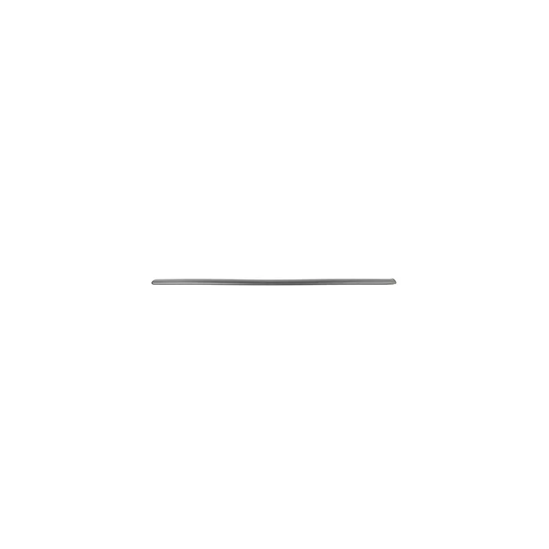 Baguette et bande protectrice, porte avant droit BSG BSG 90-924-042