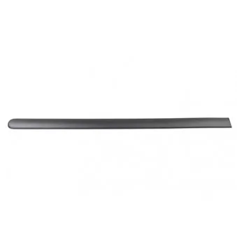 Baguette et bande protectrice, porte arrière gauche BSG BSG 90-924-043