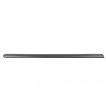 Baguette et bande protectrice, porte arrière droit BSG BSG 90-924-044