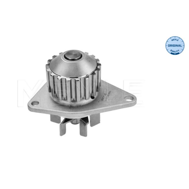 Pompe à eau MEYLE 11-13 220 0003 - Visuel 1