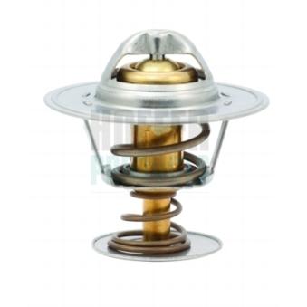 Thermostat, liquide de refroidissement HOFFER 8192161