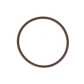 Joint, pompe à vide ENGITECH