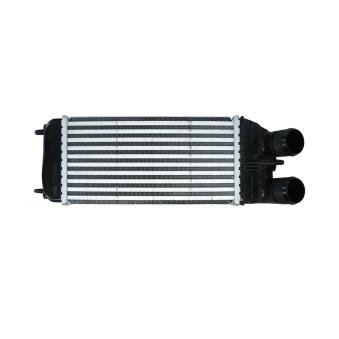 Intercooler, échangeur KAMOKA 7750016