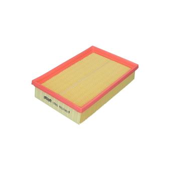 Filtre à air KAMOKA F256301