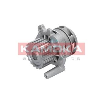 Pompe à eau KAMOKA T0034
