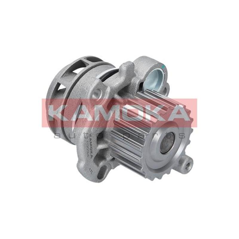 Pompe à eau KAMOKA T0034 - Visuel 3