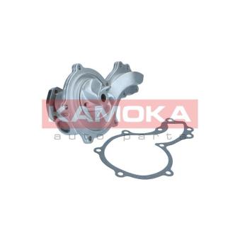 Pompe à eau KAMOKA T0044