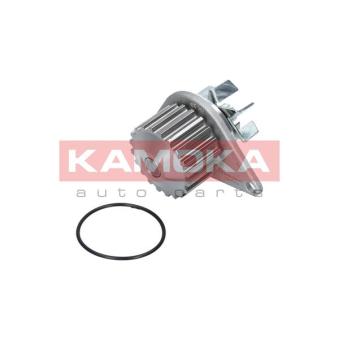 Pompe à eau KAMOKA T0078