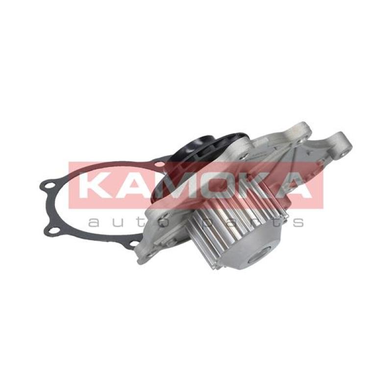 Pompe à eau KAMOKA T0081 - Visuel 1