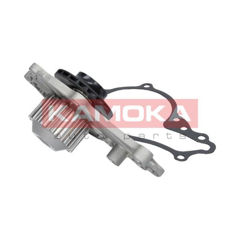 Pompe à eau KAMOKA T0081 - Visuel 2