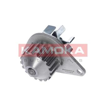 Pompe à eau KAMOKA T0083
