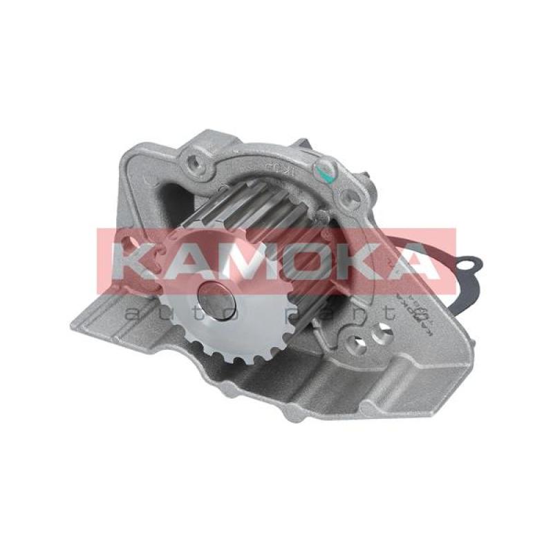 Pompe à eau KAMOKA T0084 - Visuel 2