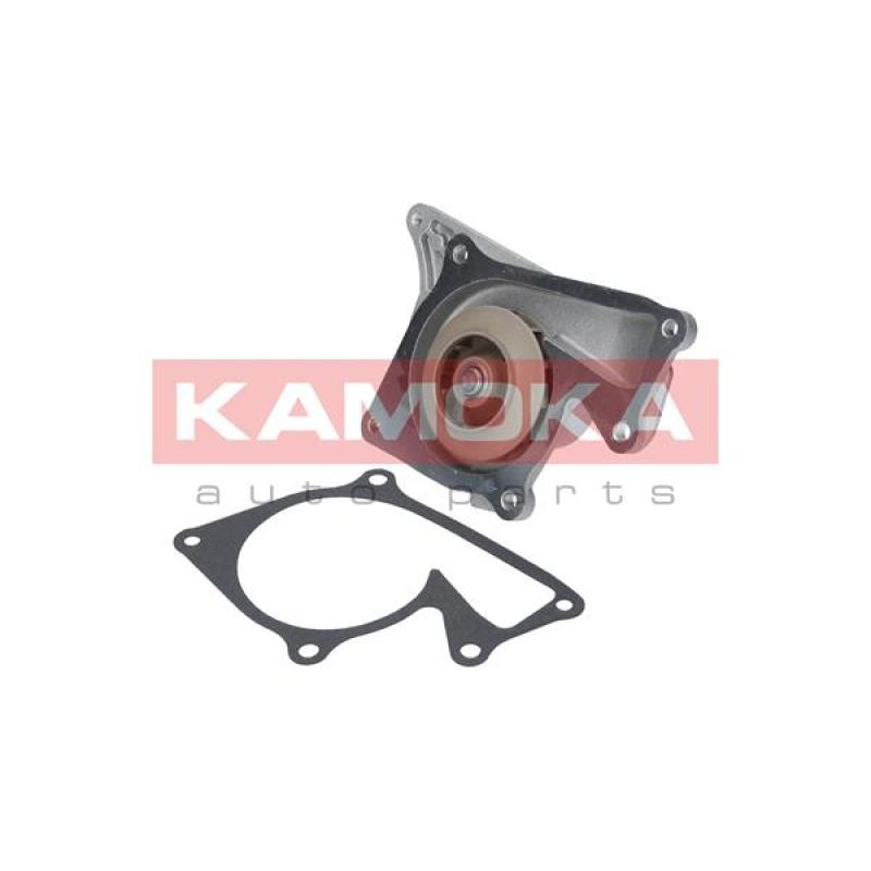 Pompe à eau KAMOKA T0101 - Visuel 1