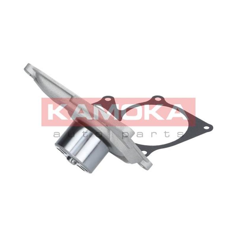 Pompe à eau KAMOKA T0101 - Visuel 3