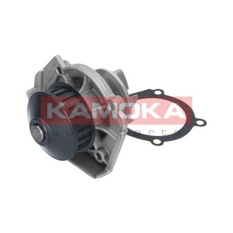 Pompe à eau KAMOKA T0117