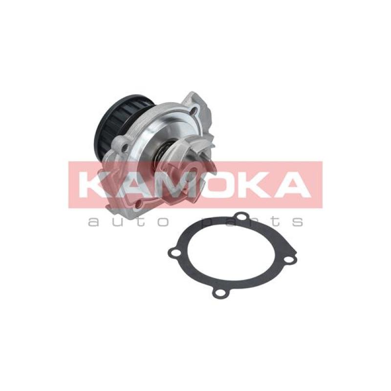 Pompe à eau KAMOKA T0117 - Visuel 1